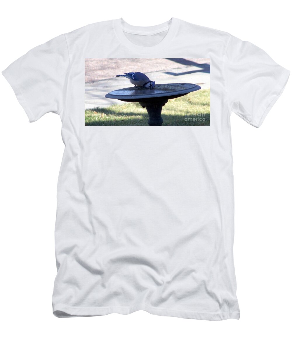 Blue Jay T-Shirt featuring the photograph Frustration by Dorrene BrownButterfield