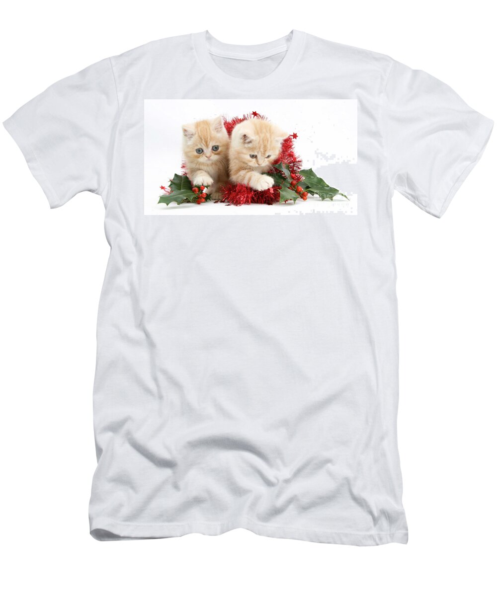 Animal T-Shirt featuring the photograph Ginger Kittens by Mark Taylor