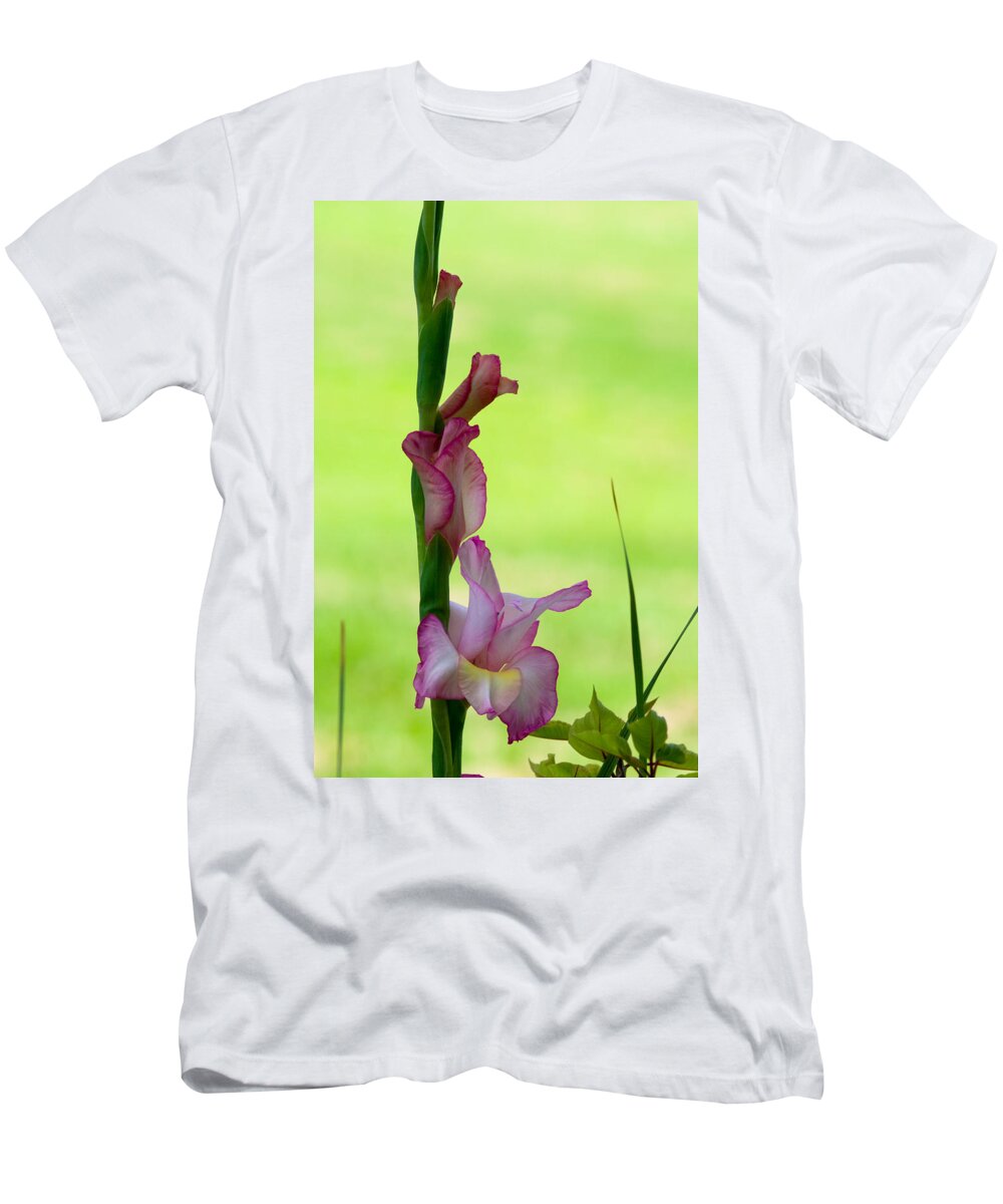 Blossom T-Shirt featuring the photograph Gladiolus Blossoms by Ed Gleichman