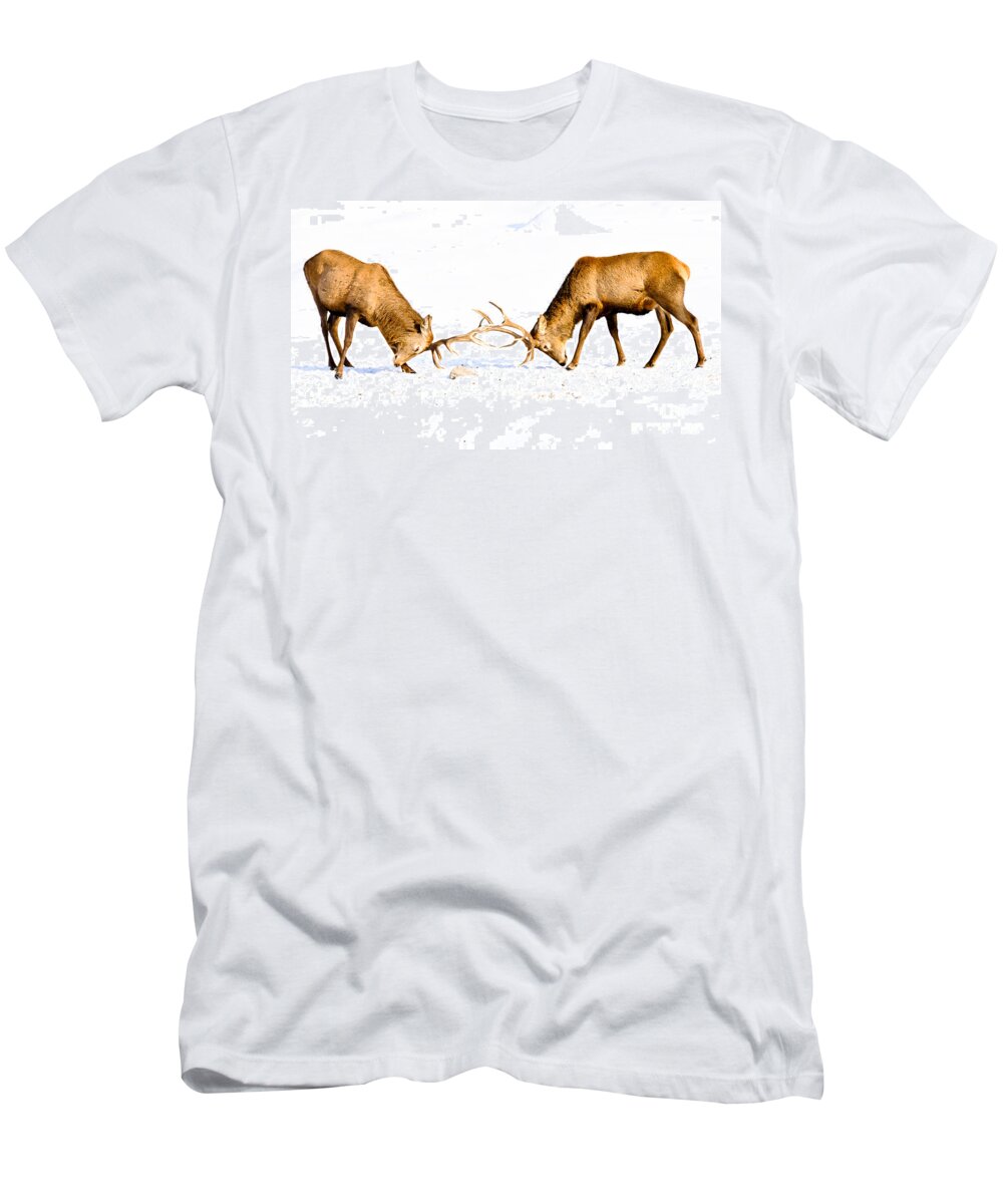 Wapiti T-Shirt featuring the photograph Horns a Plenty by Cheryl Baxter