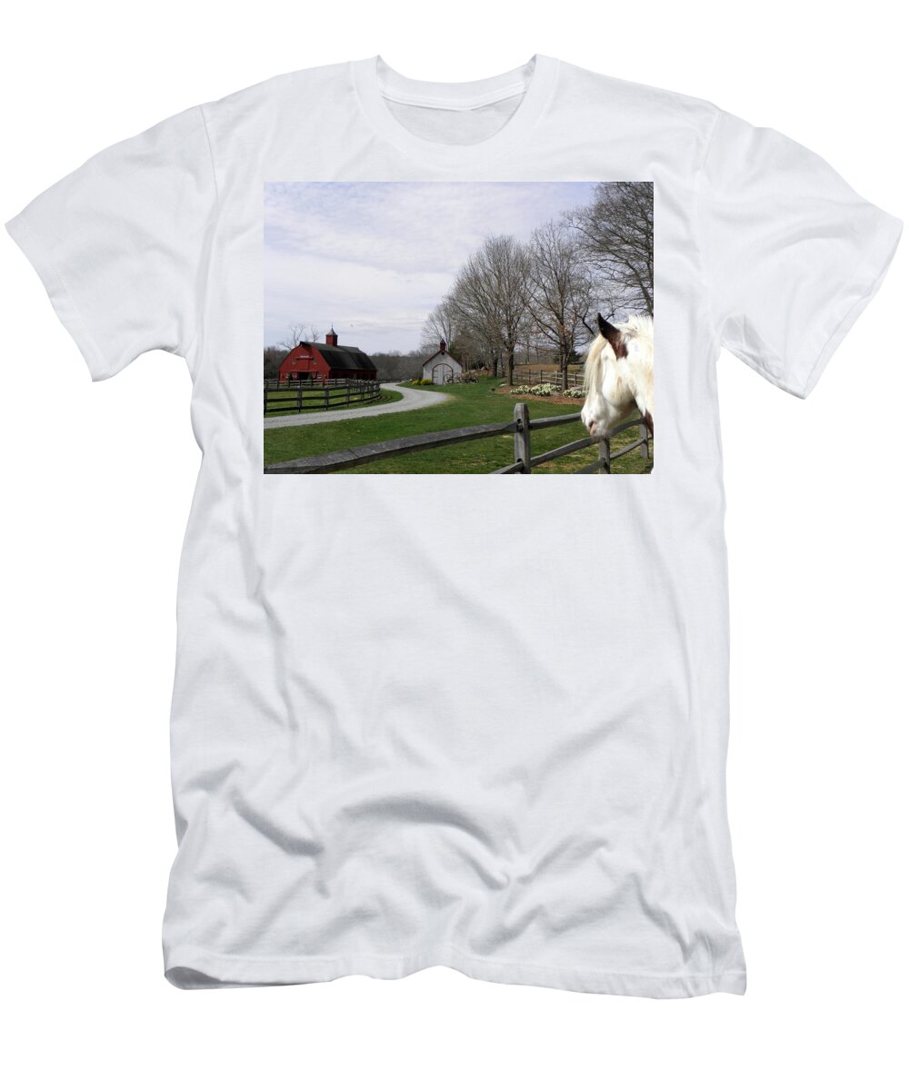 Gypsy Vanner Horse T-Shirt featuring the photograph Looking Over My Farm by Kim Galluzzo