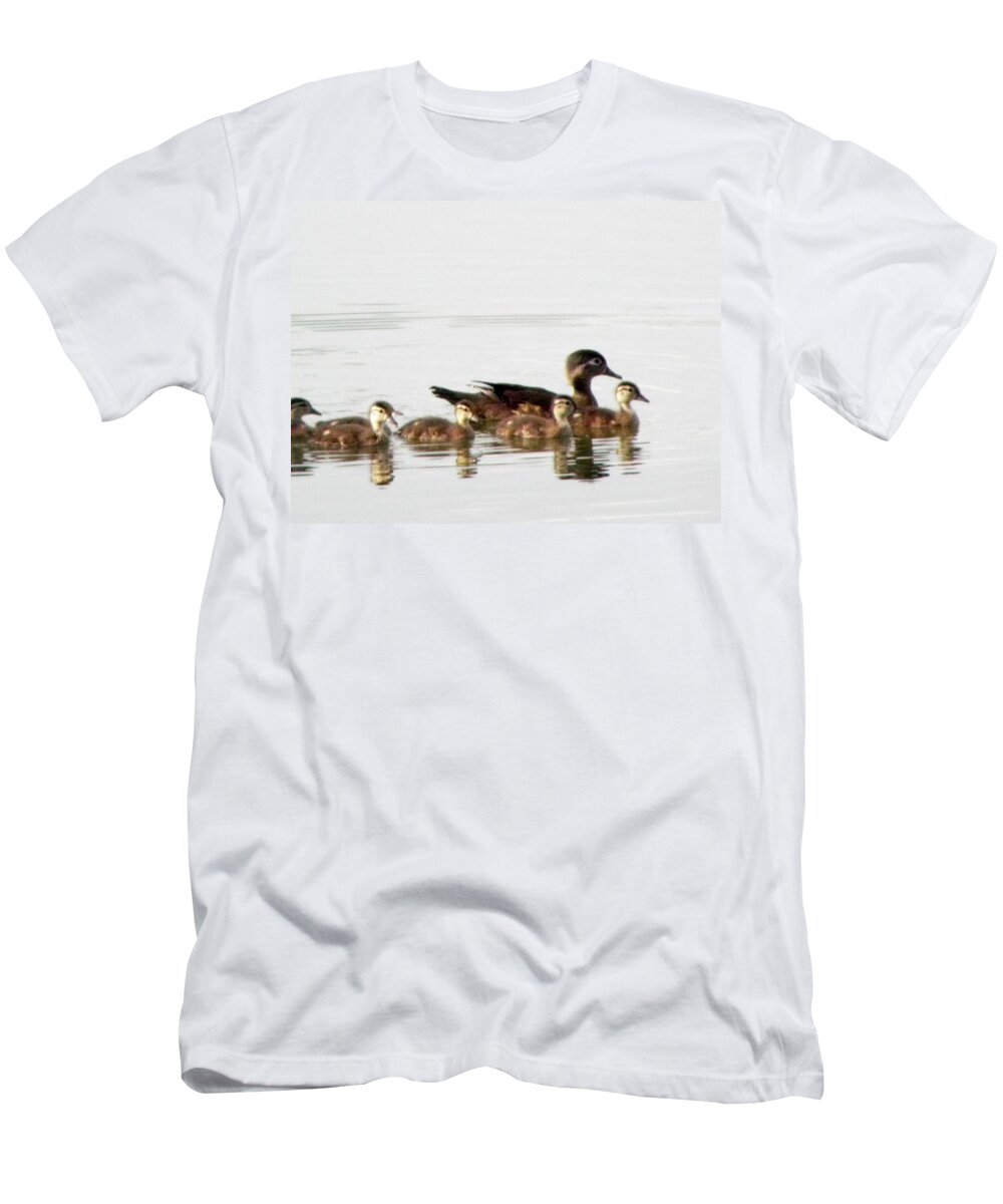 Woodduck T-Shirt featuring the photograph Motherly Love by Kim Galluzzo