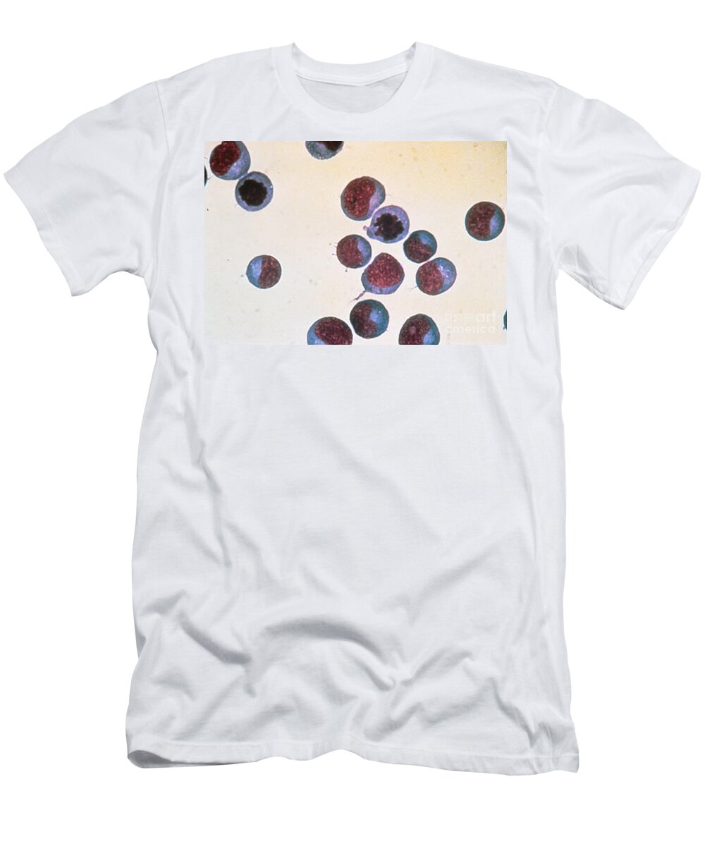 Biology T-Shirt featuring the photograph Normal T Cells, Lm by Science Source
