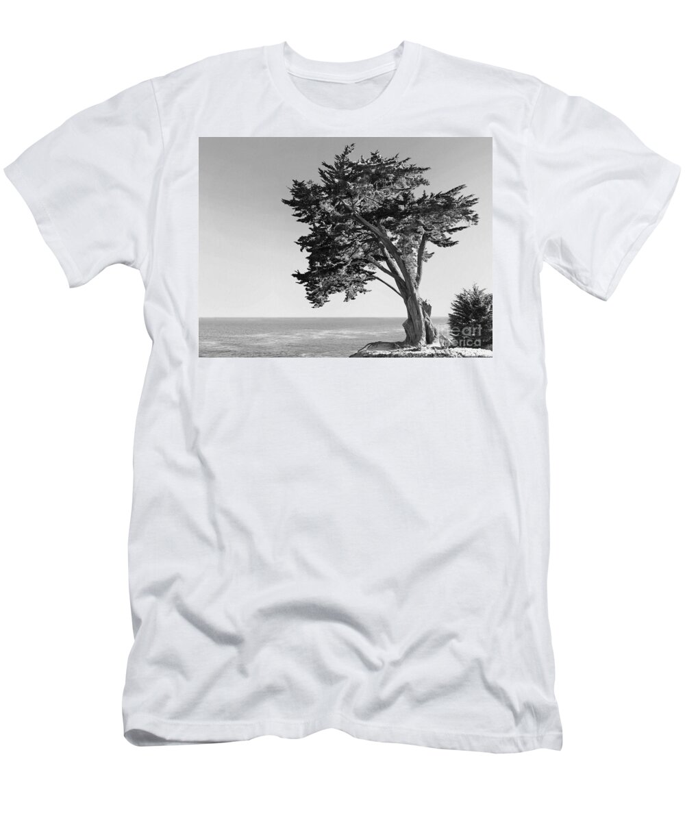 Tree T-Shirt featuring the photograph Old Growth by Paul Topp