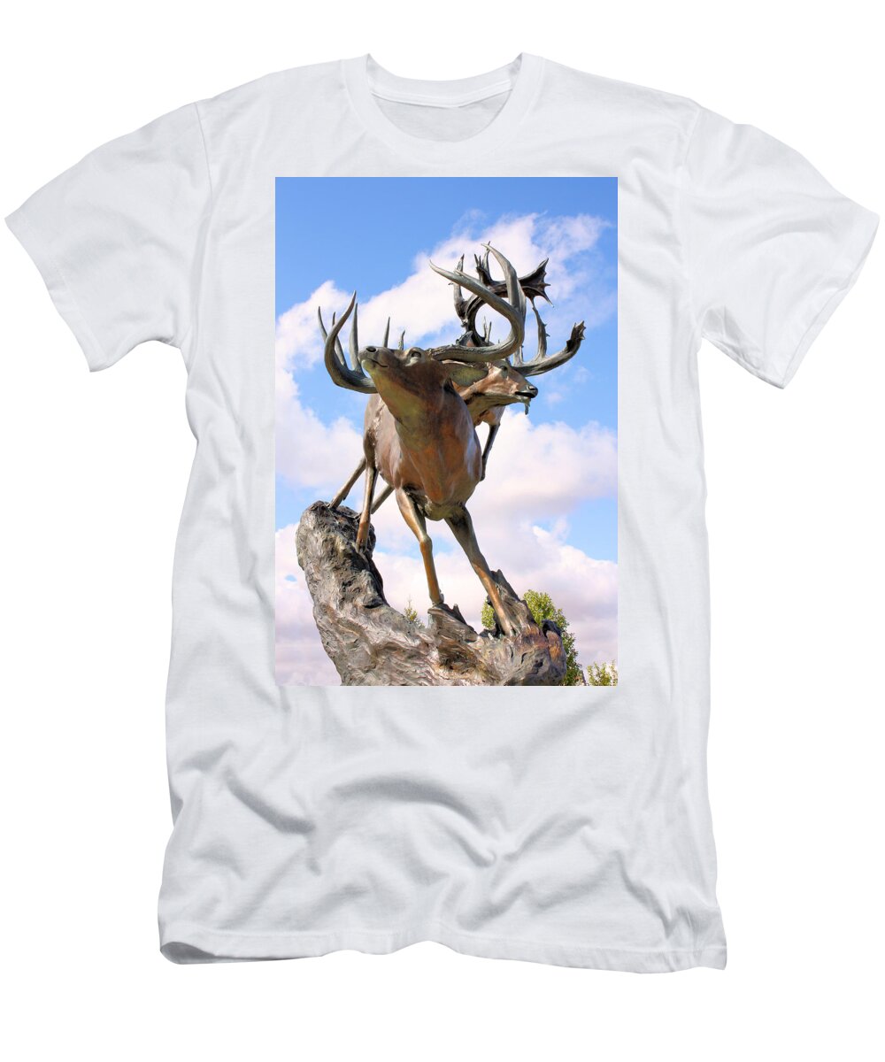 Statue T-Shirt featuring the photograph On Top of the World by Kristin Elmquist