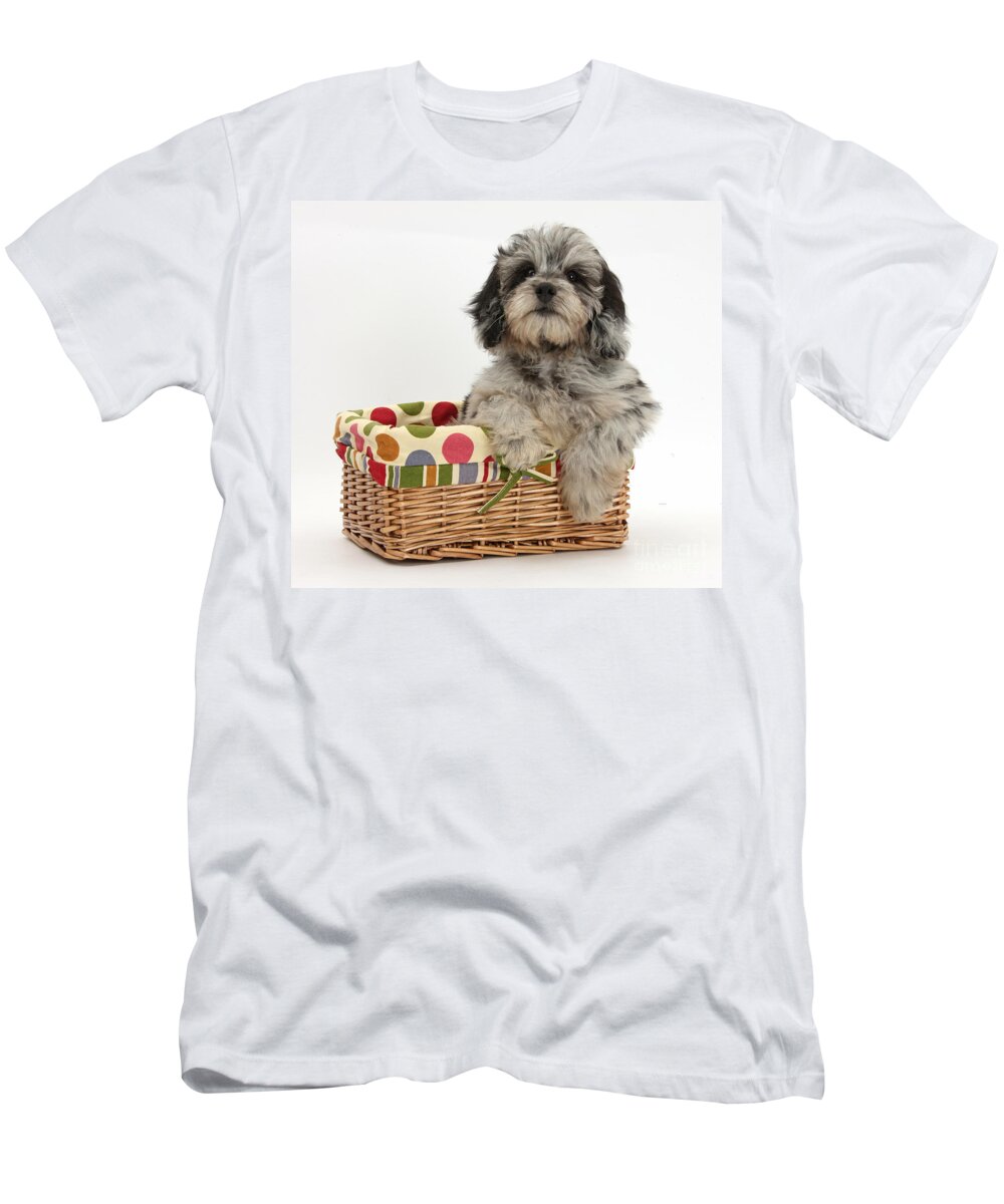 Nature T-Shirt featuring the photograph Puppy In A Basket by Mark Taylor