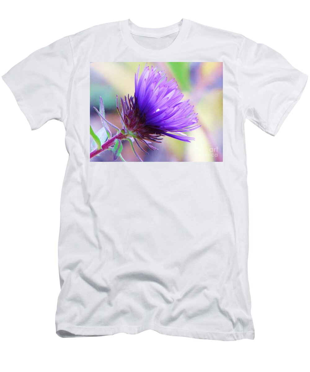 Aster T-Shirt featuring the photograph Purple Aster by Michele Penner