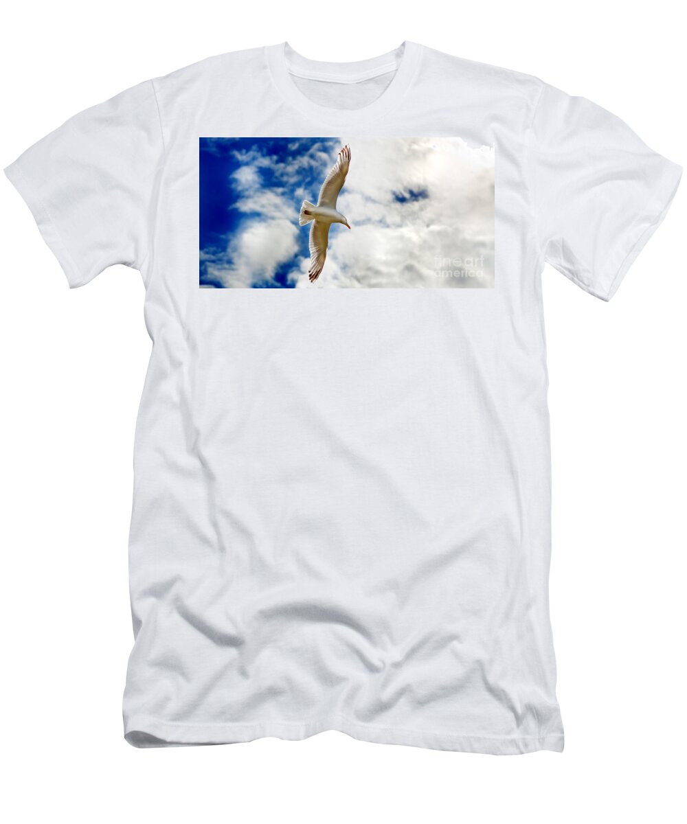 Seagul T-Shirt featuring the photograph Seagul gliding in flight by Simon Bratt