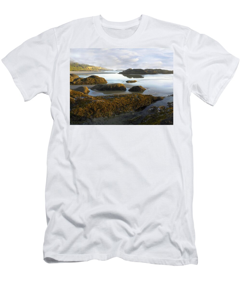 00175330 T-Shirt featuring the photograph Low Tide at Neptune Beach by Tim Fitzharris