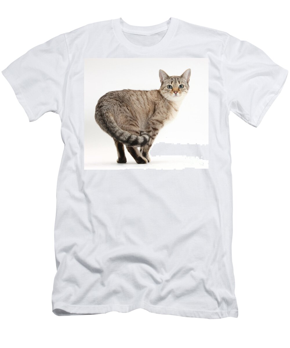 Sepia Snow Bengal-cross Female Cat T-Shirt featuring the photograph Snow Bengal-cross by Mark Taylor
