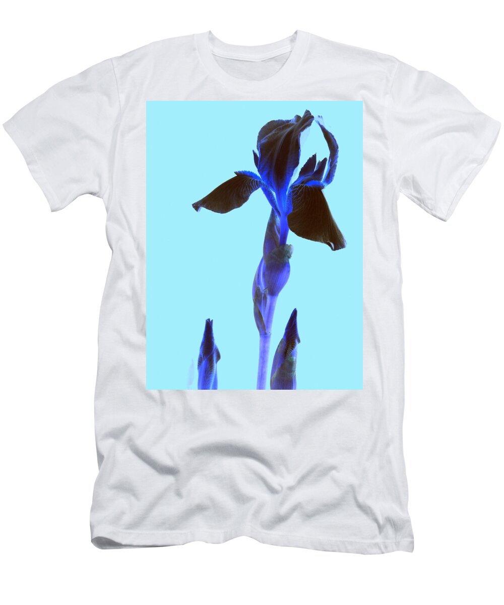 Iris T-Shirt featuring the photograph Spring Abstract by Kim Galluzzo
