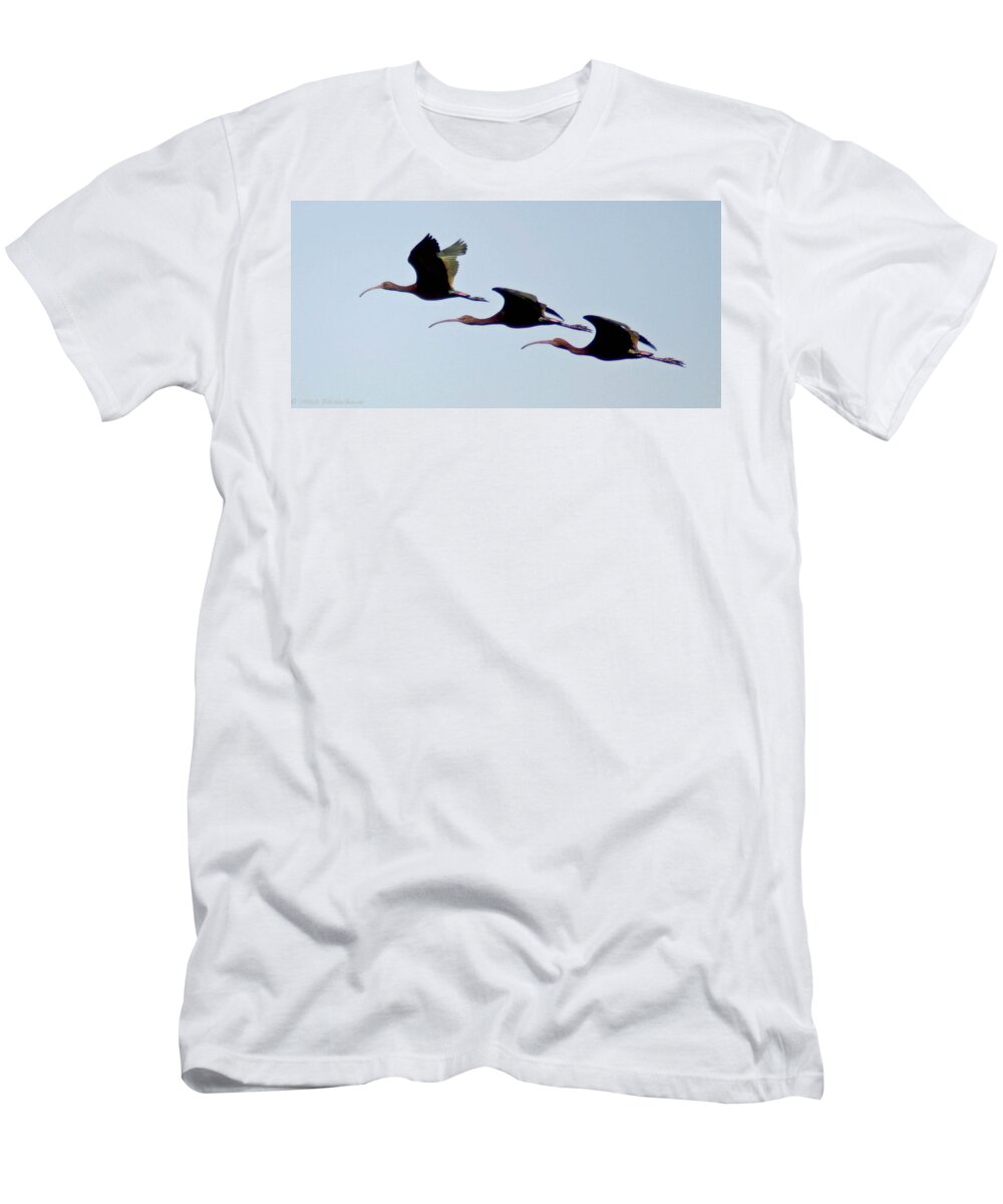 Birds T-Shirt featuring the photograph Stacked Ibis by Mitch Shindelbower