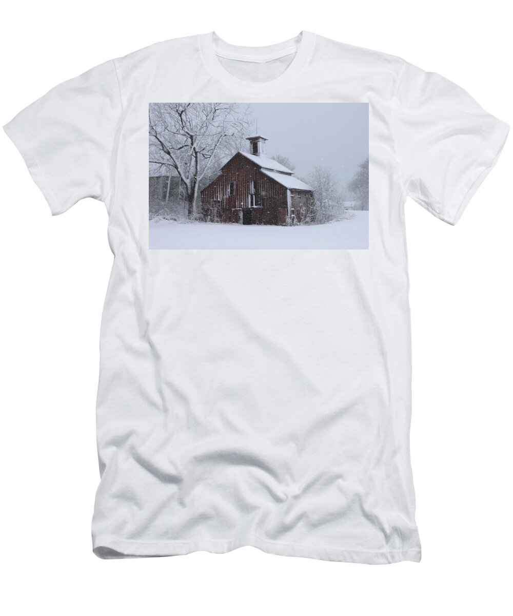 Winter T-Shirt featuring the photograph Surviving Another Winter by J Laughlin