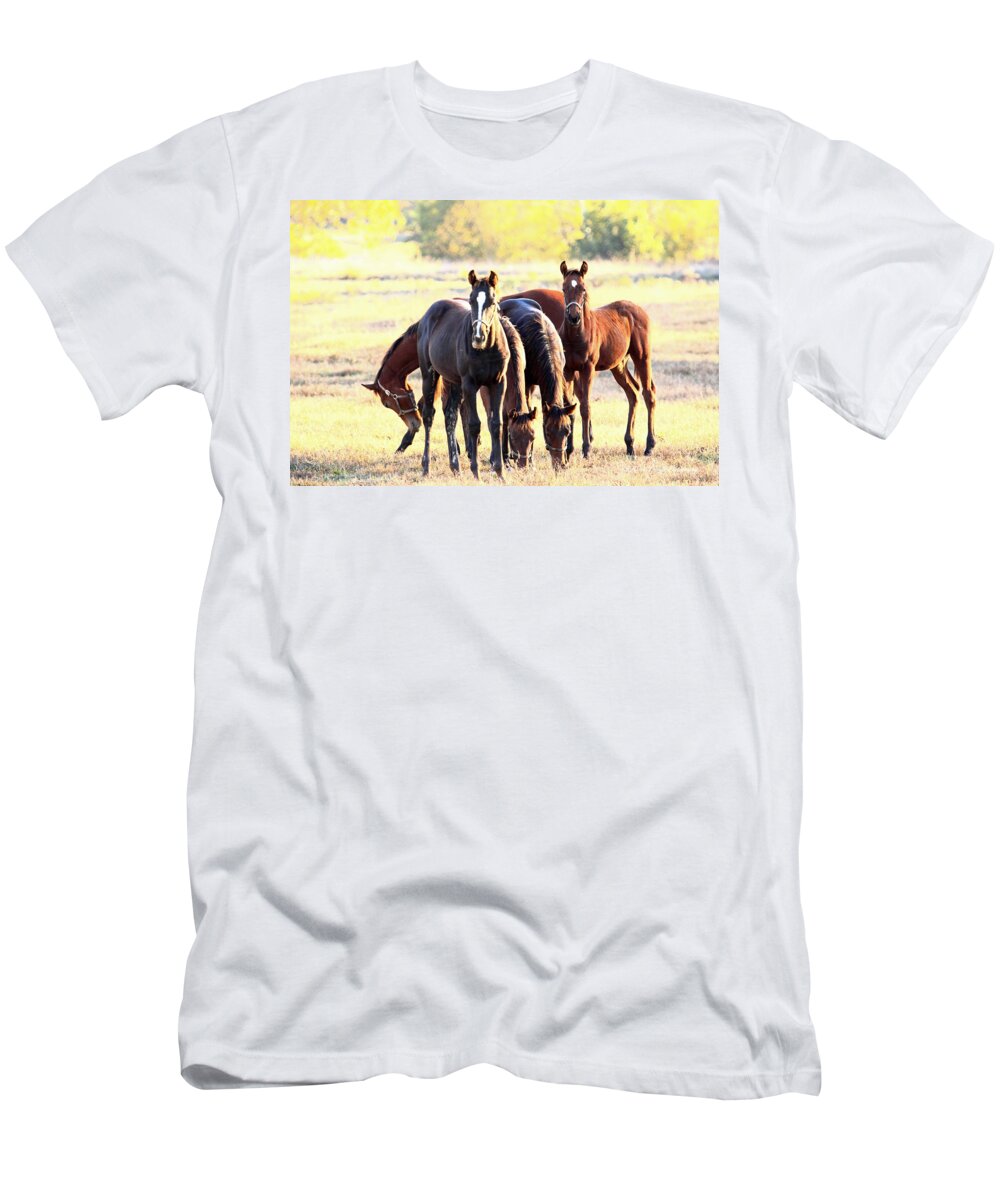  T-Shirt featuring the photograph 'The Boys' by PJQandFriends Photography