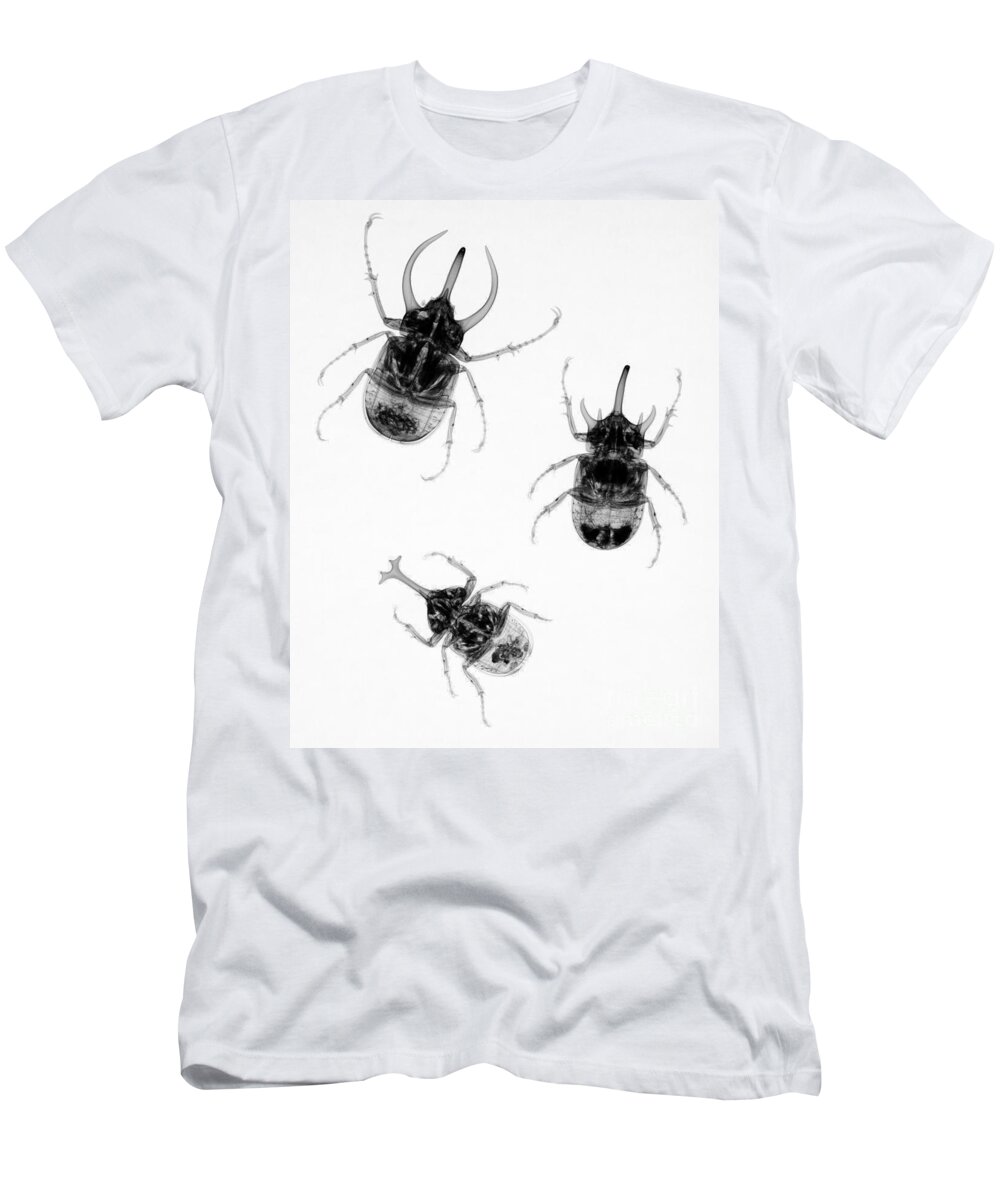 Beetles T-Shirt featuring the photograph Three Beetles X-ray by Ted Kinsman