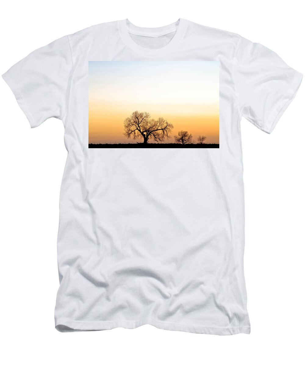 'boulder County' T-Shirt featuring the photograph Tree Harmony by James BO Insogna