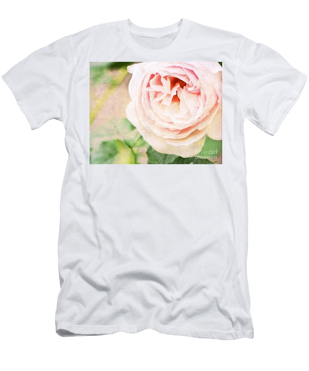 Rose T-Shirt featuring the photograph Vintage Love by Traci Cottingham