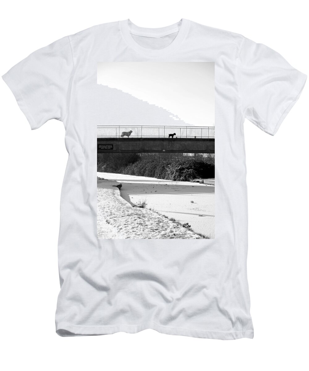 Burton On Trent T-Shirt featuring the photograph Watch Dogs by Rod Johnson
