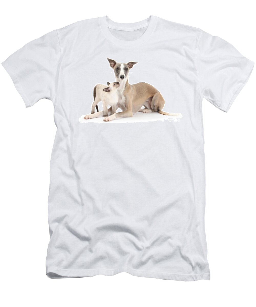 Animal T-Shirt featuring the photograph Whippet And Siamese Kitten by Mark Taylor