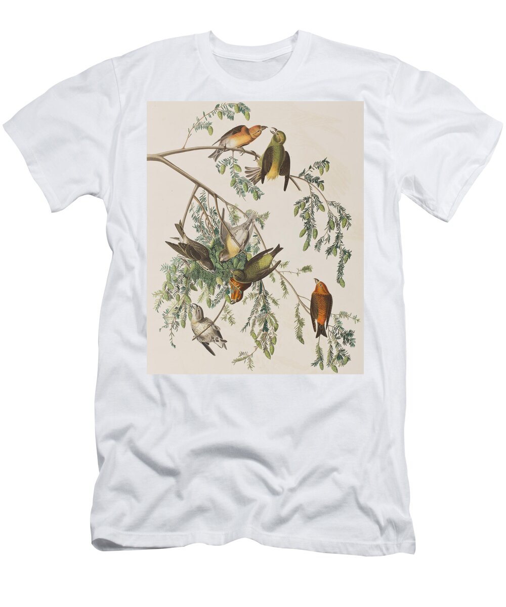 Audubon T-Shirt featuring the painting American Crossbill by John James Audubon