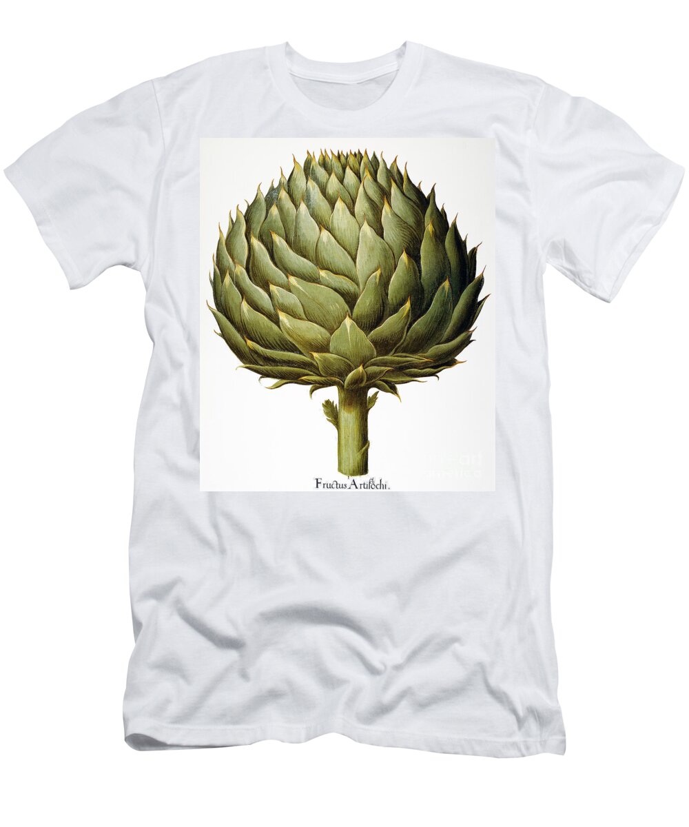 1613 T-Shirt featuring the drawing Artichoke, 1613 #1 by Granger
