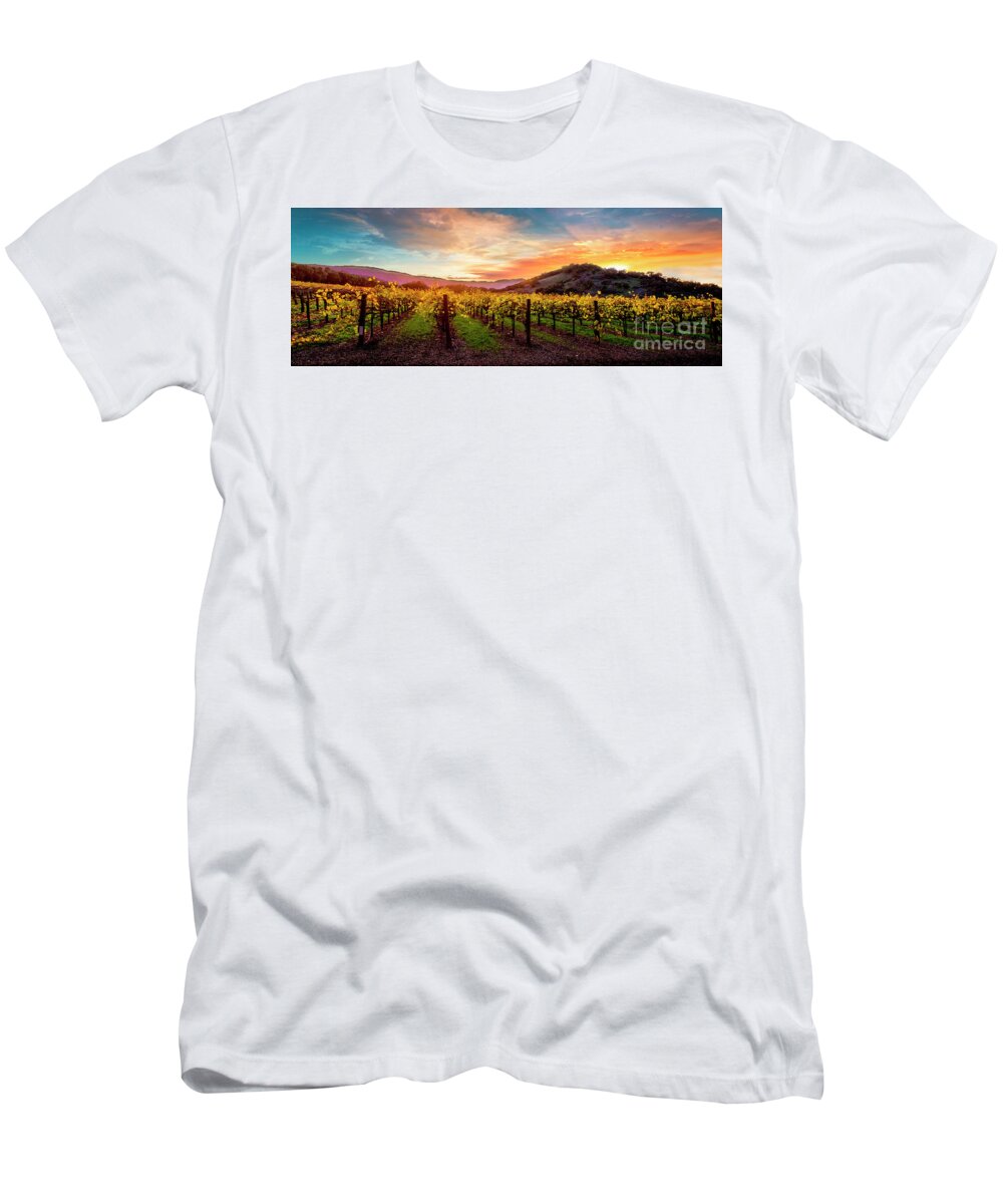 Napa T-Shirt featuring the photograph Morning Sun over the Vineyard by Jon Neidert