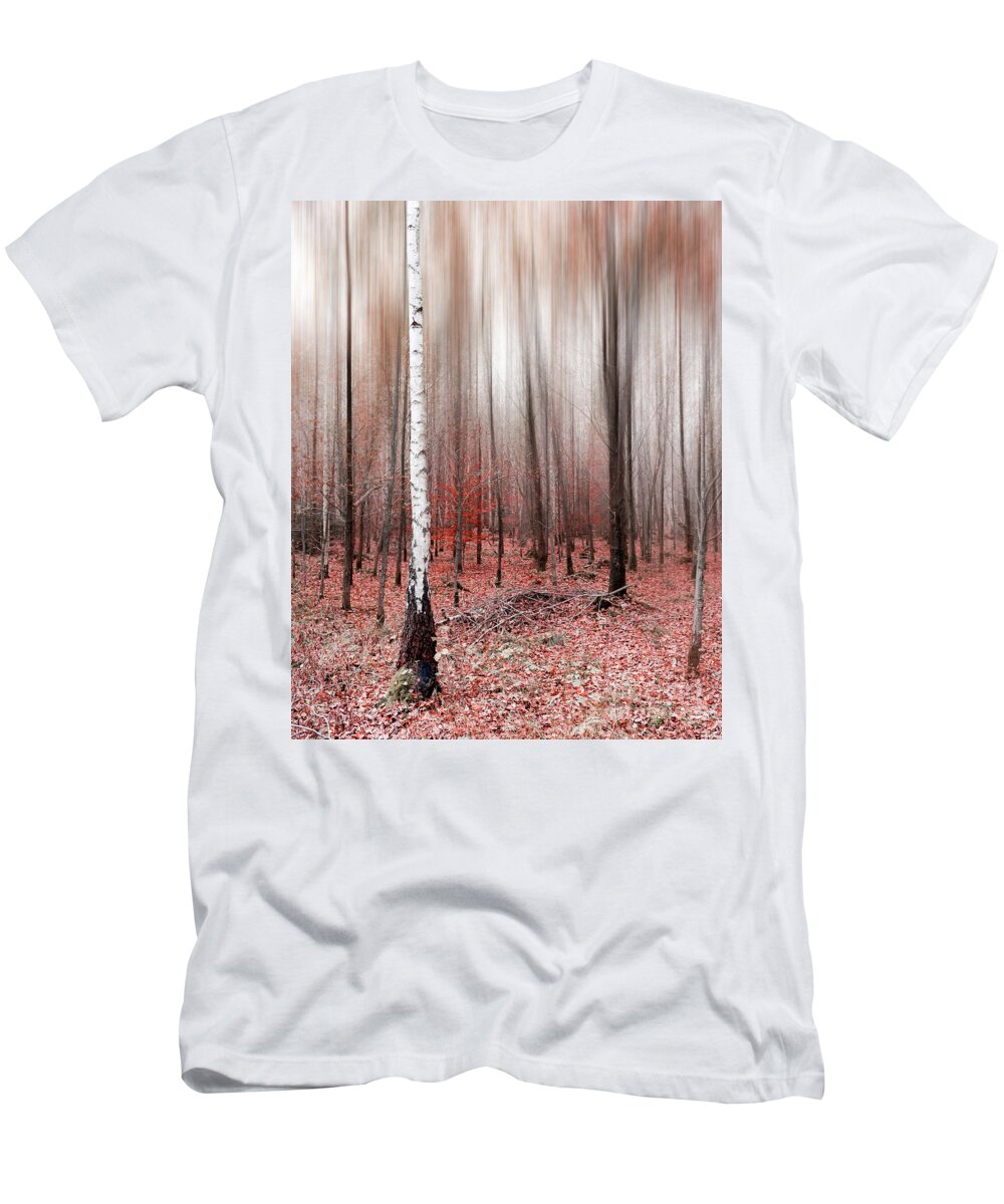 Abstract T-Shirt featuring the photograph Birchforest In Fall by Hannes Cmarits