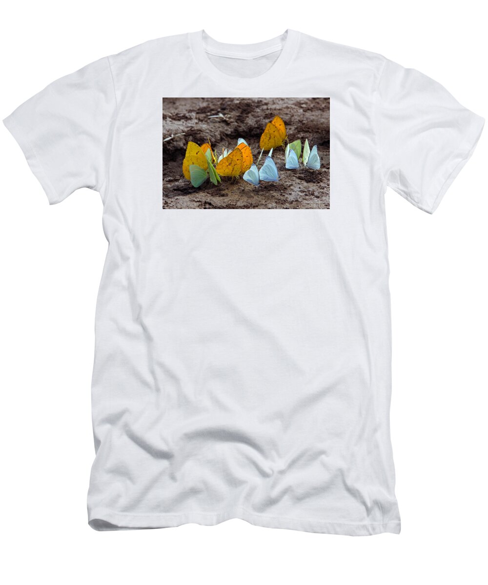 Butterflies T-Shirt featuring the photograph Butterflies Eating Minerals #2 by Aivar Mikko