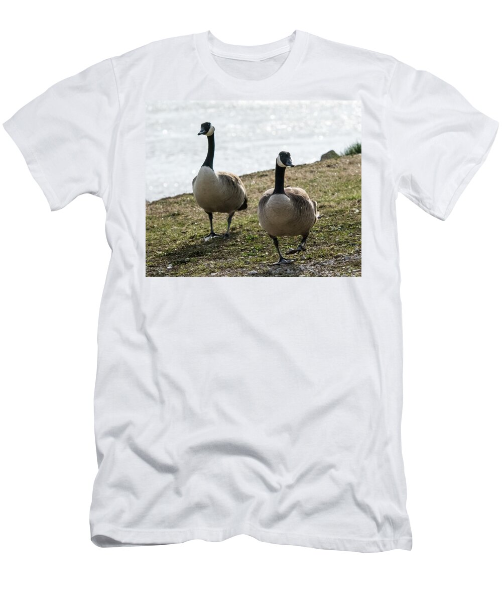 Jan Holden T-Shirt featuring the photograph Canada Geese   by Holden The Moment