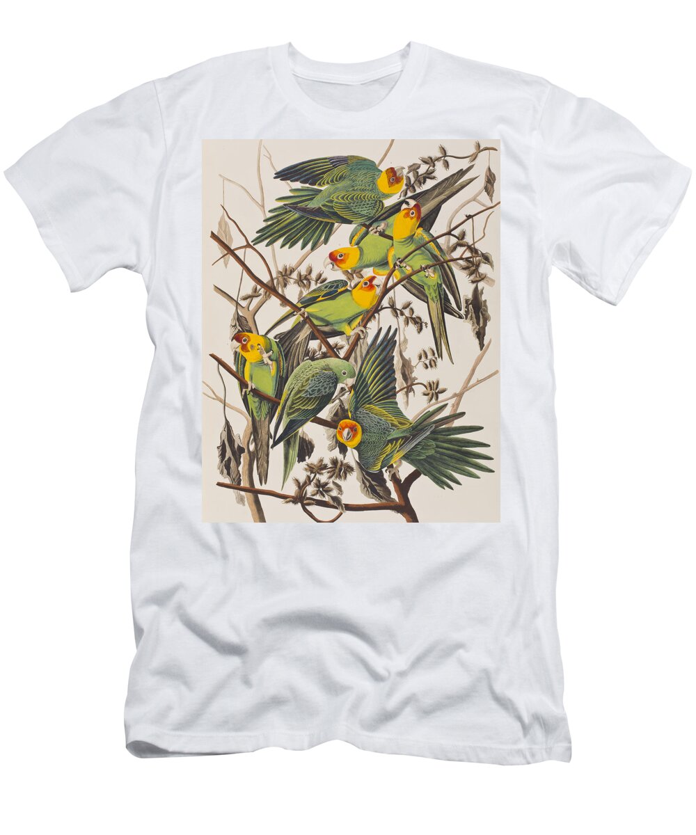 Parakeet T-Shirt featuring the painting Carolina Parrot by John James Audubon