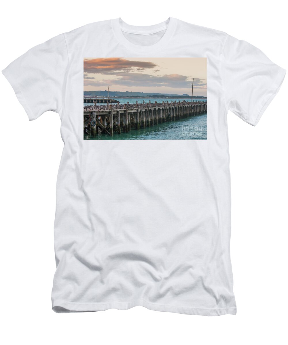 Abundance T-Shirt featuring the photograph Cormorants on a wooden jetty by Patricia Hofmeester