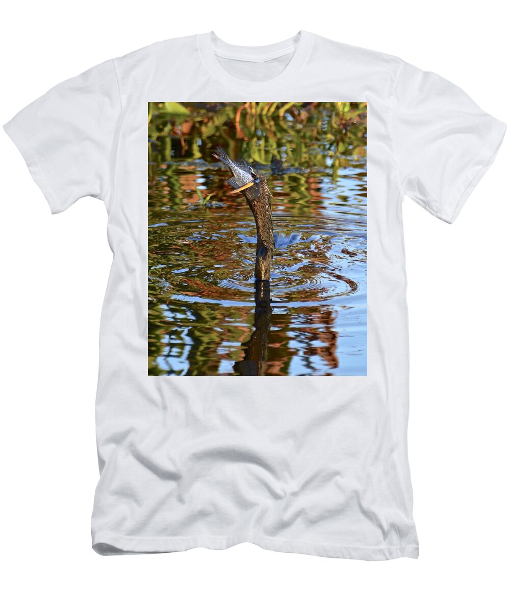 Anhinga T-Shirt featuring the photograph Down The Hatch #1 by Carol Bradley