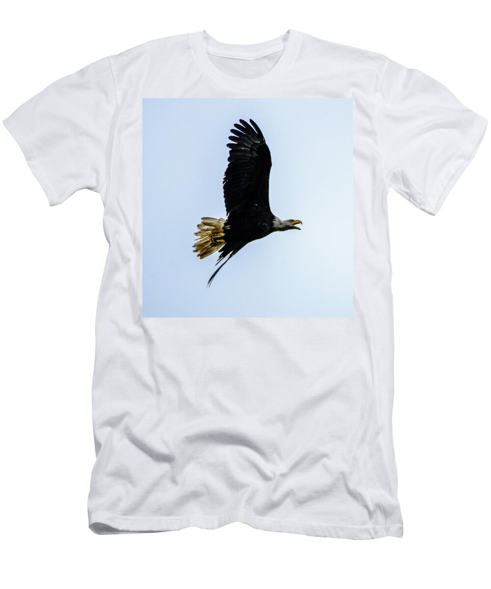 Eagle T-Shirt featuring the photograph Eagle by Jerry Cahill