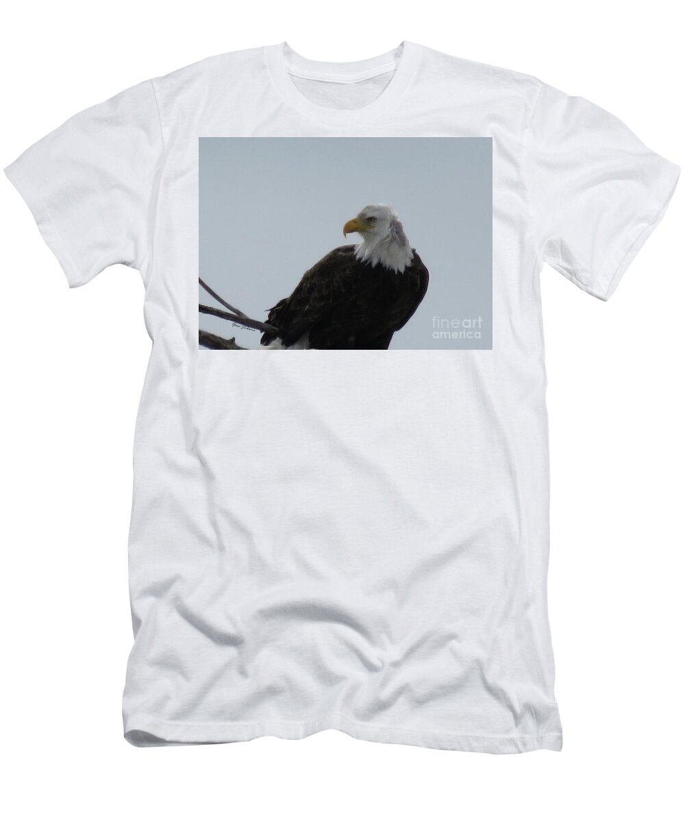 Bold Eagle T-Shirt featuring the photograph Eye on you by Yumi Johnson