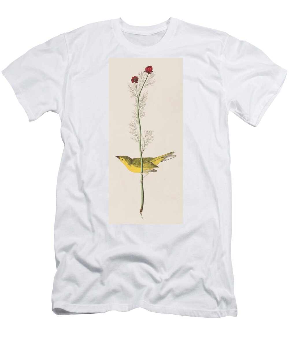 Hooded Warbler T-Shirt featuring the painting Hooded Warbler by John James Audubon