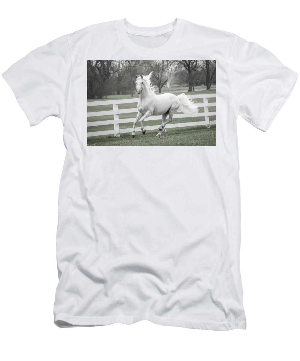  T-Shirt featuring the photograph Horse #1 by Tony HUTSON