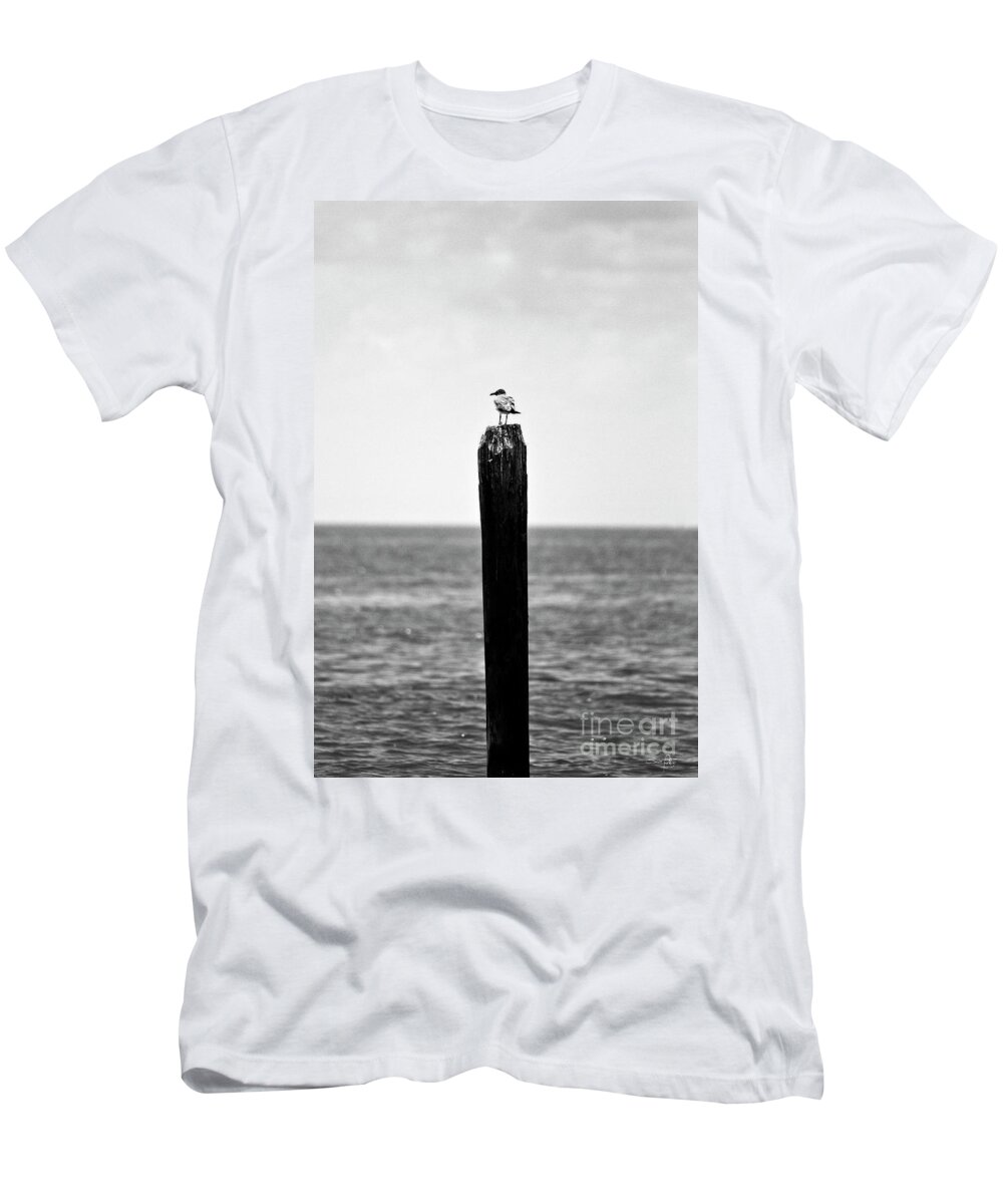 Seagull T-Shirt featuring the photograph It's a Big World #1 by Scott Pellegrin