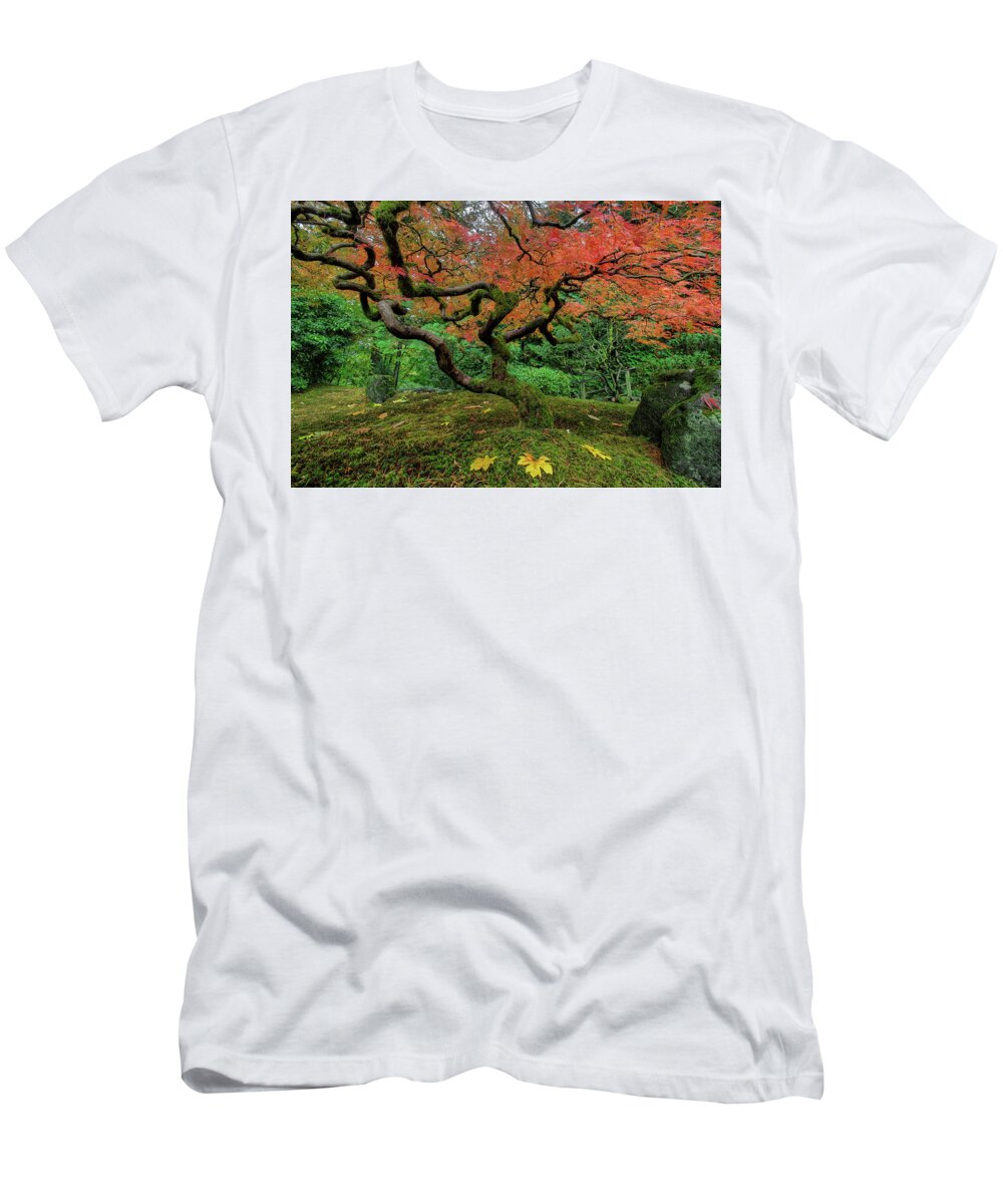 Japanese Garden T-Shirt featuring the photograph Japanese Maple Tree in Autumn #1 by David Gn