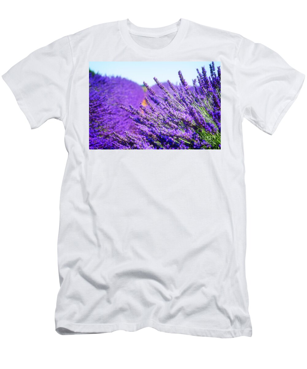 Lavender T-Shirt featuring the photograph Lavender Field by Anastasy Yarmolovich