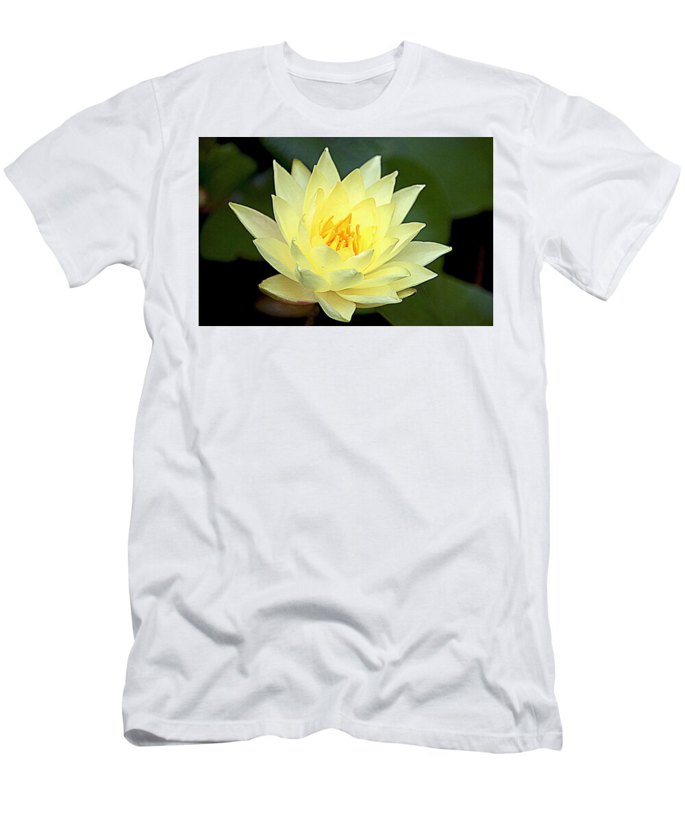 Lily T-Shirt featuring the photograph Lily #1 by Jerry Cahill
