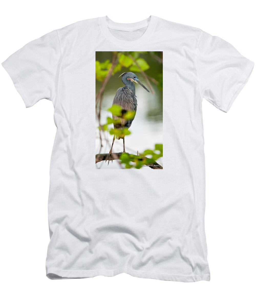 Christopher Holmes Photography T-Shirt featuring the photograph Little Blue Heron #3 by Christopher Holmes