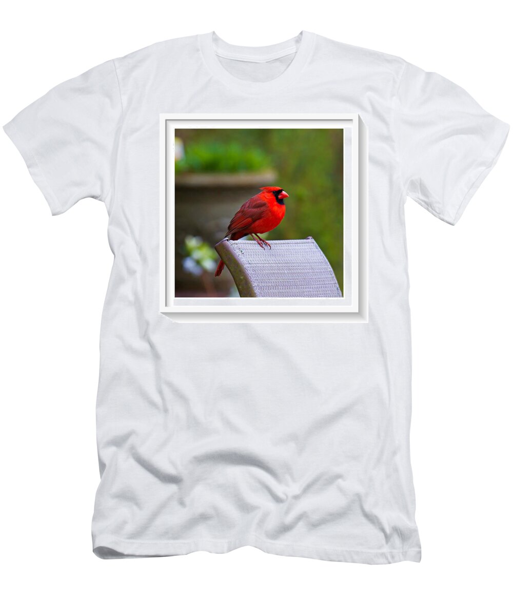 Red T-Shirt featuring the photograph Male Cardinal #1 by Robert L Jackson