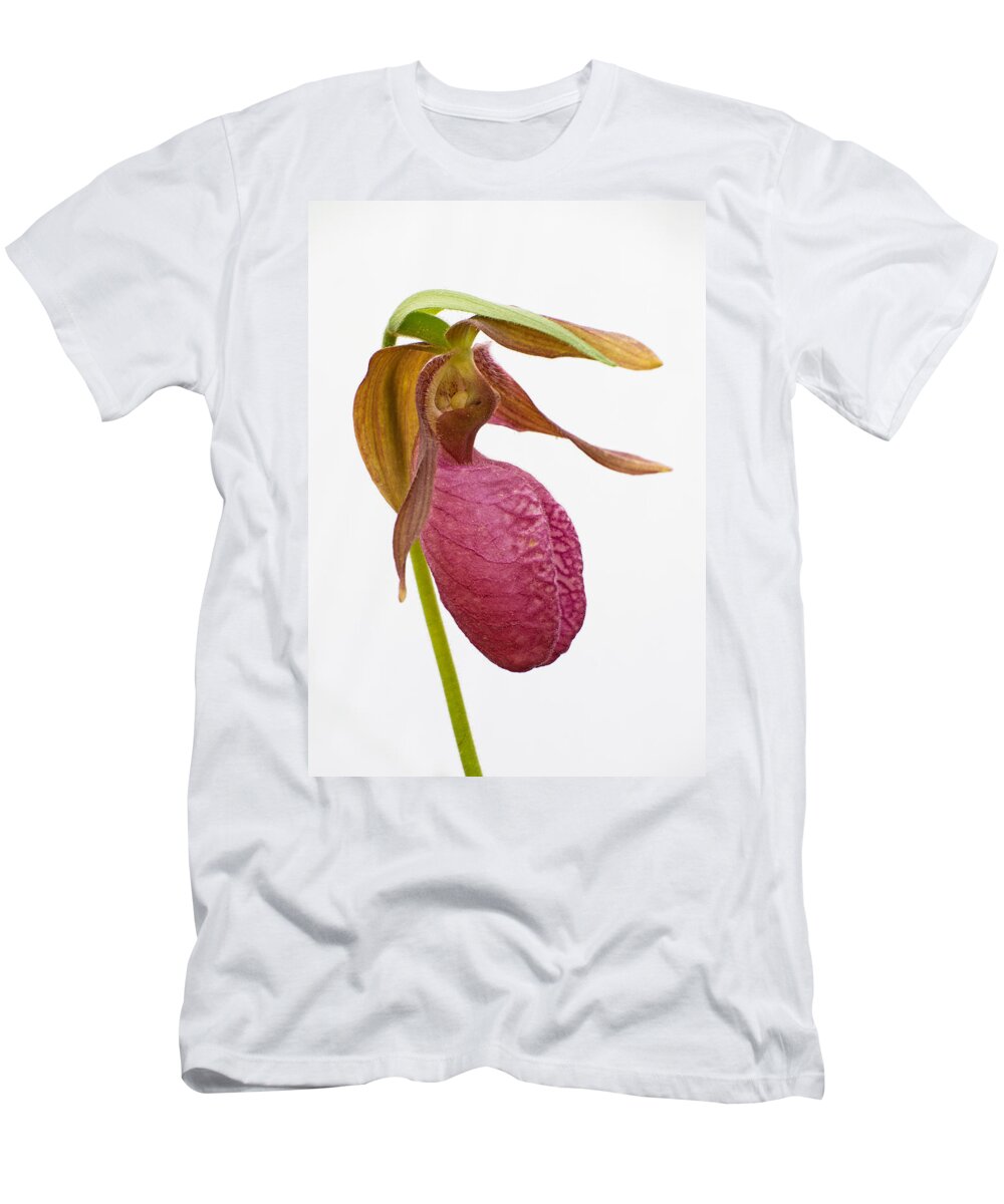 Pink Lady's Slipper T-Shirt featuring the photograph Moccasin Flower #1 by Jim Zablotny