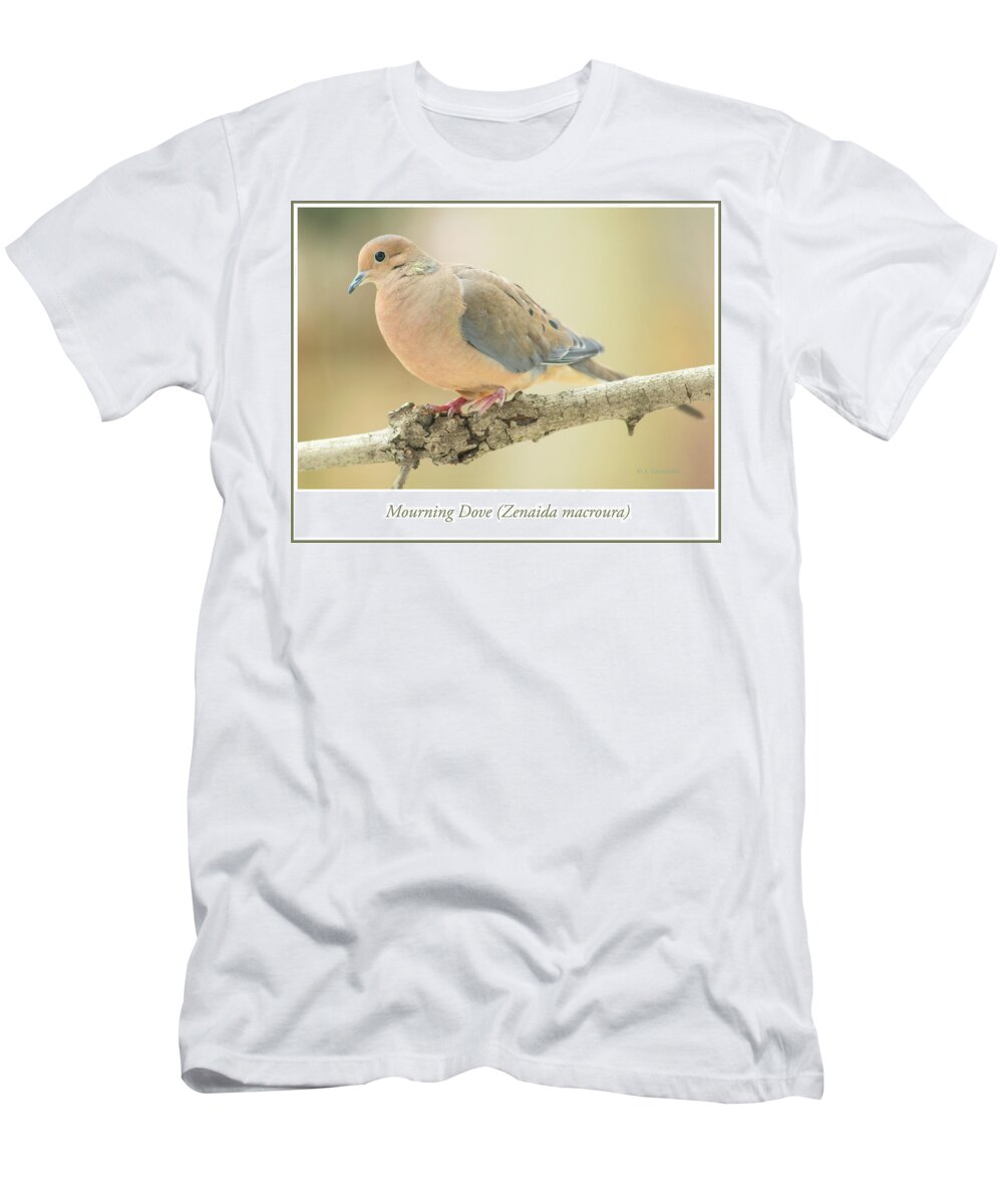 Mourning Dove T-Shirt featuring the photograph Mourning Dove, Animal Portrait #1 by A Macarthur Gurmankin