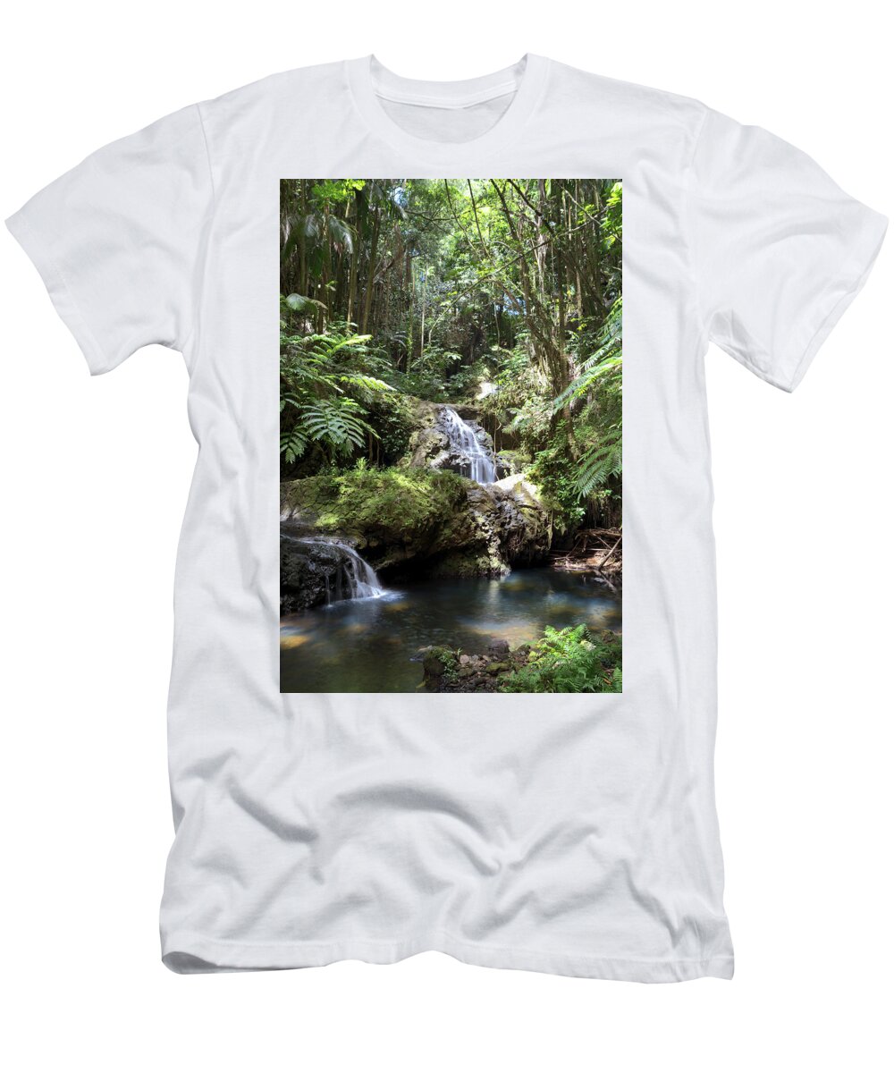 Waterfalls T-Shirt featuring the photograph Onomea Waterfalls #2 by Susan Rissi Tregoning