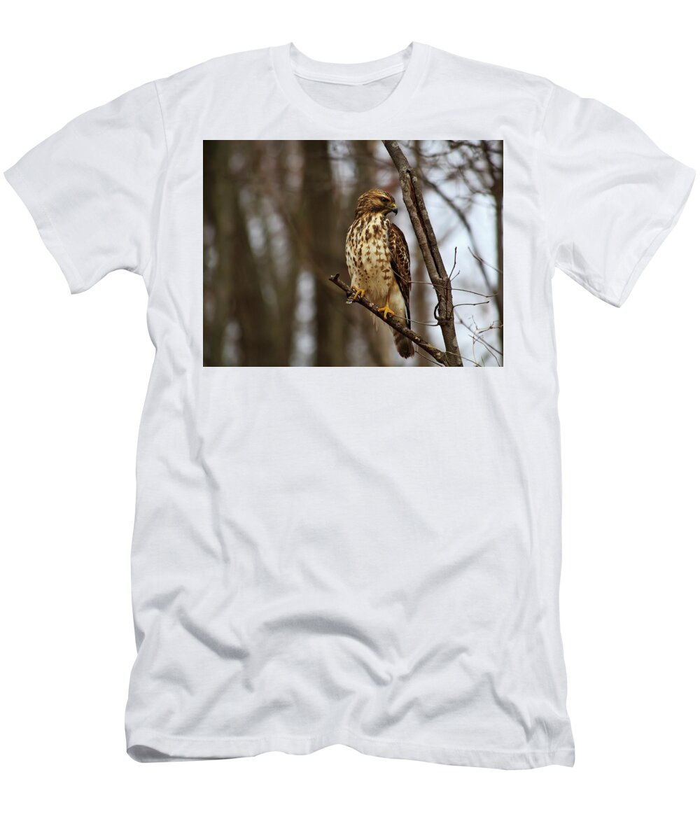 Red T-Shirt featuring the photograph Red Tailed Hawk #1 by Jill Lang
