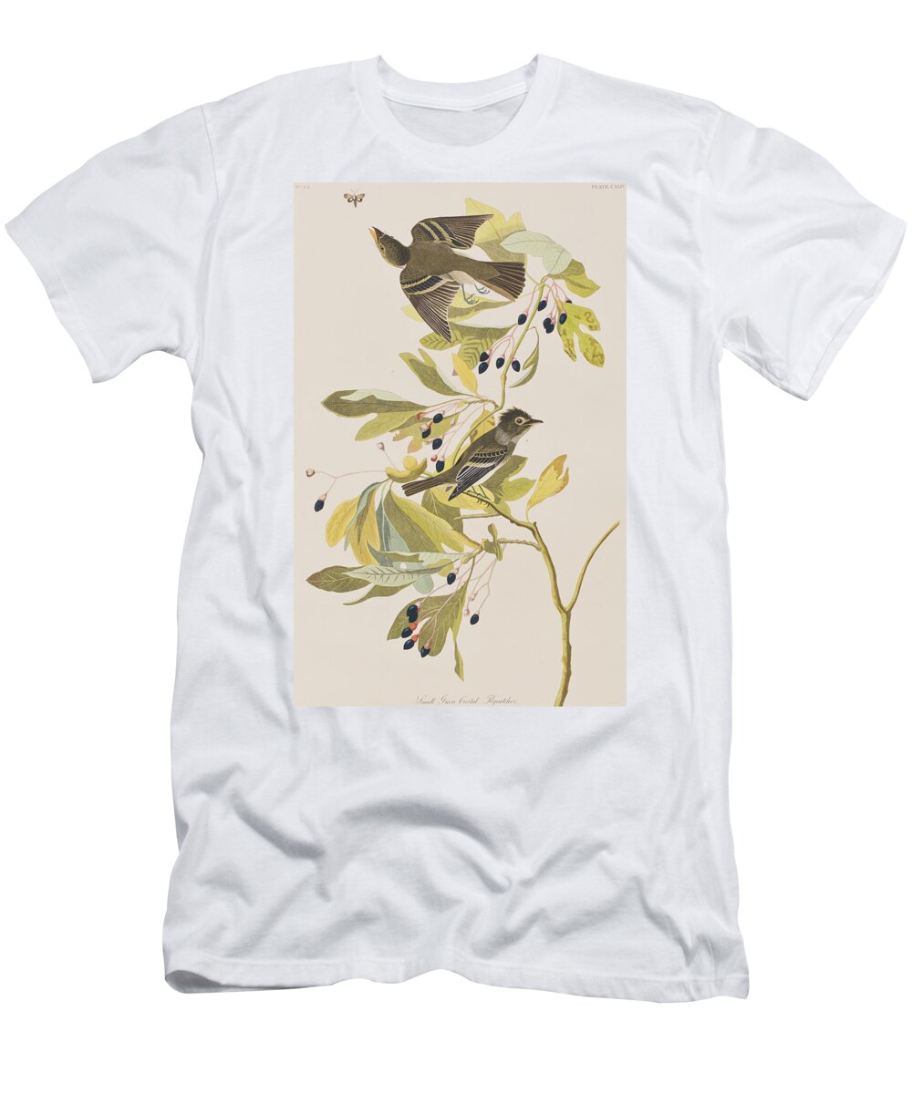 Flycatcher T-Shirt featuring the painting Small Green Crested Flycatcher by John James Audubon