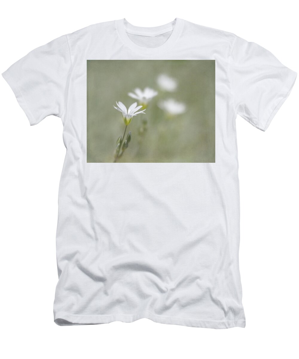 Dainty T-Shirt featuring the photograph Snow In Summer #1 by Jennifer Grossnickle