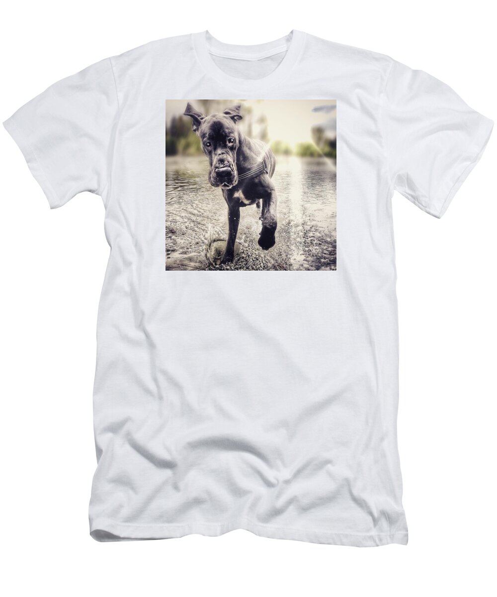 Dog T-Shirt featuring the photograph sun #1 by Seven Pictures