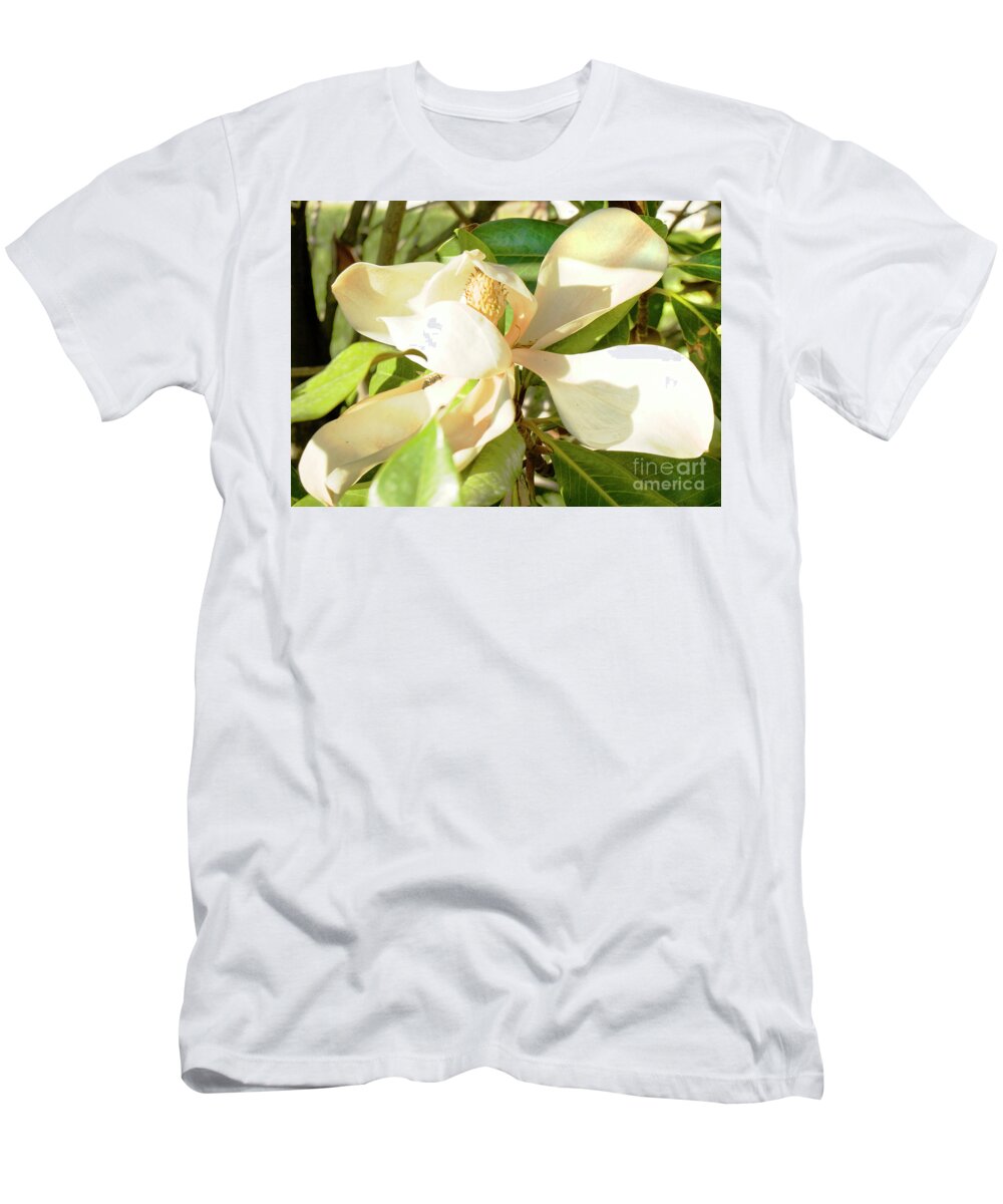 Magnolia T-Shirt featuring the photograph White magnolia #1 by Irina Afonskaya